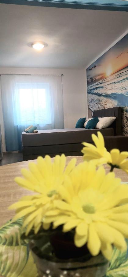 Apartma Luna